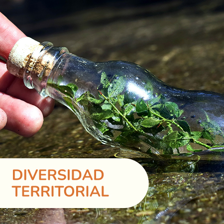 Trabajamos desde y con el territorio. El monte serrano y las localidades de Salsipuedes, Agua de Oro, Juárez Celman y el departamento Colón no son sólo escenarios, sino parte activa de nuestra identidad. Reconocemos la diversidad de realidades, saberes y prácticas que habitan cada lugar, y defendemos la soberanía cultural y el cuidado del entorno como bienes comunes.